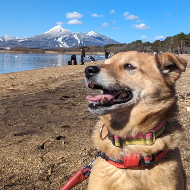 7b49c796 7b58 4f36 b605 d5890ade0bf2 1708260534418