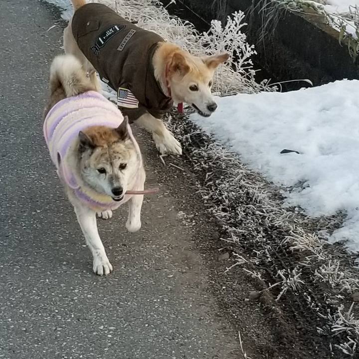 7b49cbb1 88b1 4109 a266 9d7744e6833d 1659137203698