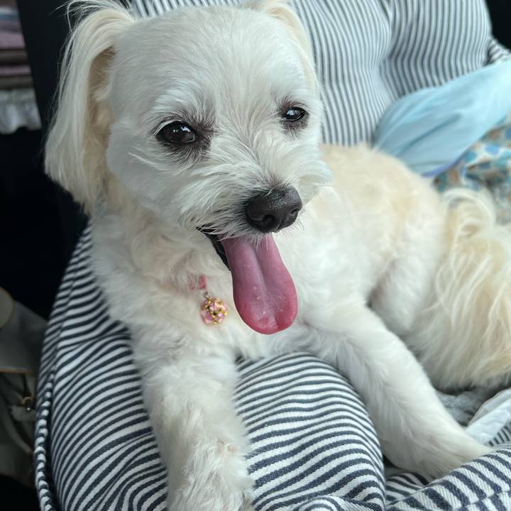 7b49e197 cb30 484a 87cb b8e9c9f81044 1689224042740