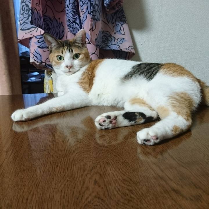 7b49f148 6f1c 4992 843e 21ae583a87cc 1515244158910