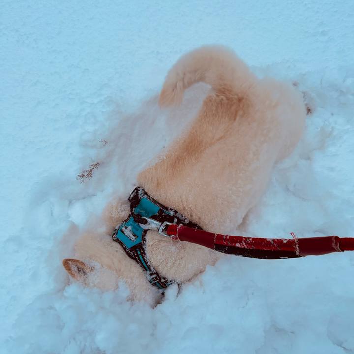 7b4a31af 76a5 4047 8e70 a29eec483634 1733611180278