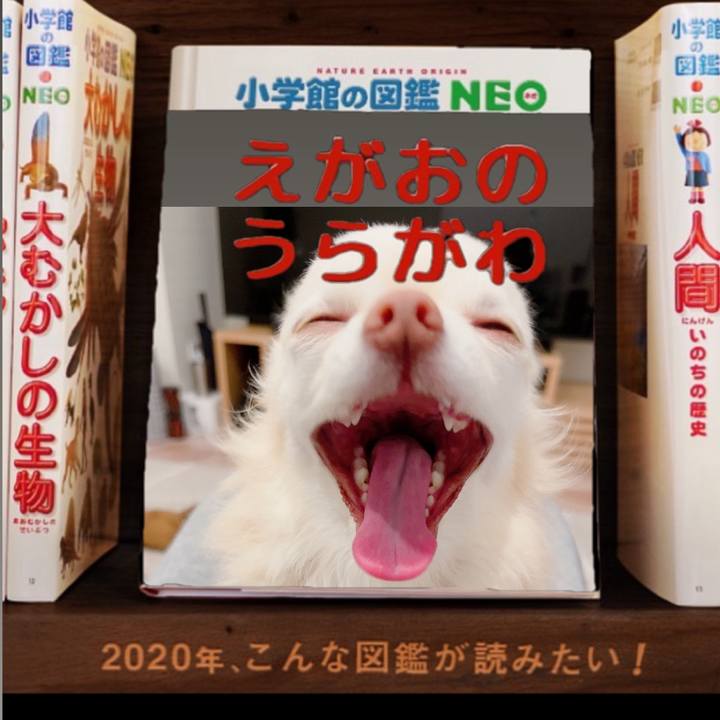 7b4a39b4 4ce9 41c6 9554 18489b8be49b 1706438611122