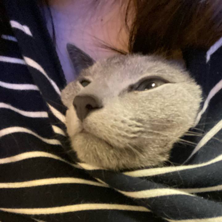 7b4a53e1 7f42 4ff1 8e8f f2c0b6dbd1c5 1647151675447