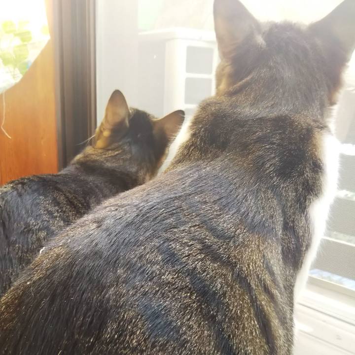 7b4a577a fa7a 4cd6 809d 3a067d1e8ab2 1610119013440