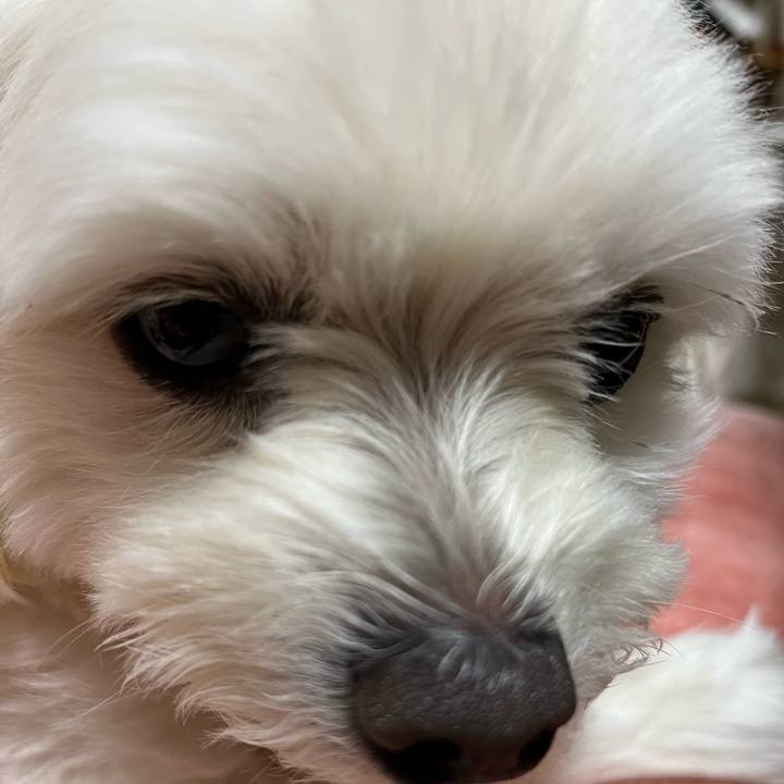 7b4a9d5b 08a2 4aa3 9e8c a2a8045c3d22 1673693581242