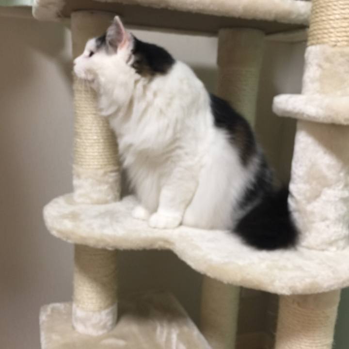 7b4ab6ca b10a 4d7c 81c6 c4992af856c9 1529508611509