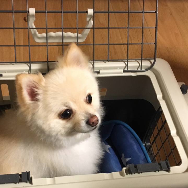 7b4aba20 32eb 4b28 ad2a 7b3bffd050c3 1558307984558