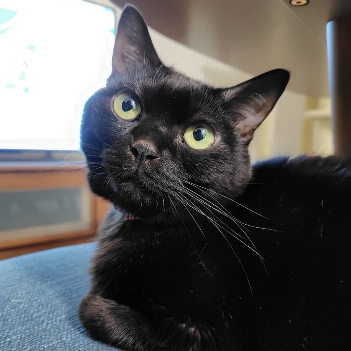 7b4ad9d7 1561 4c74 82e8 a755e9a3b470 1736116526426