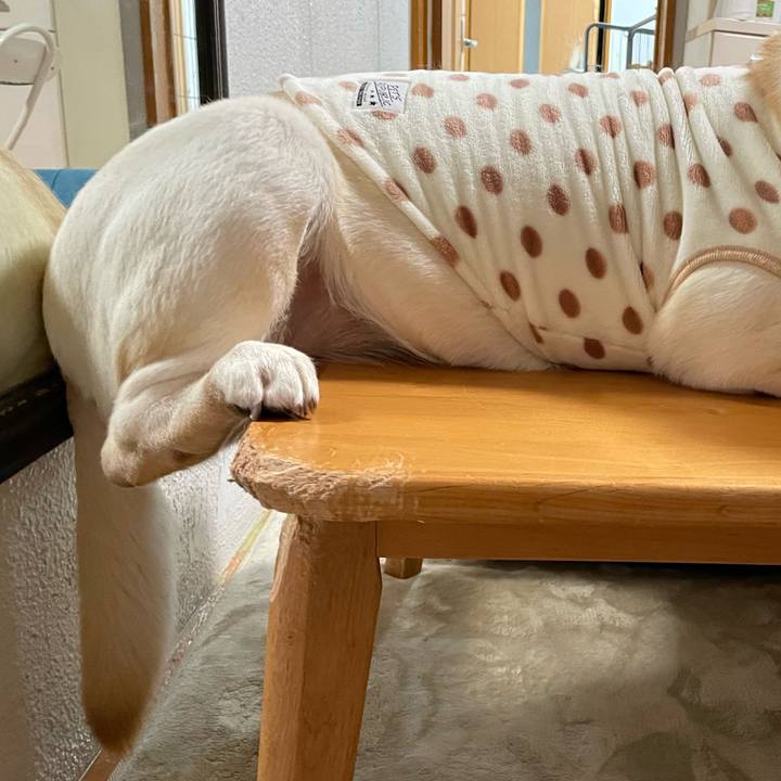 7b4ae8c8 1fc0 4e53 b710 09dc08628f43 1636203233775