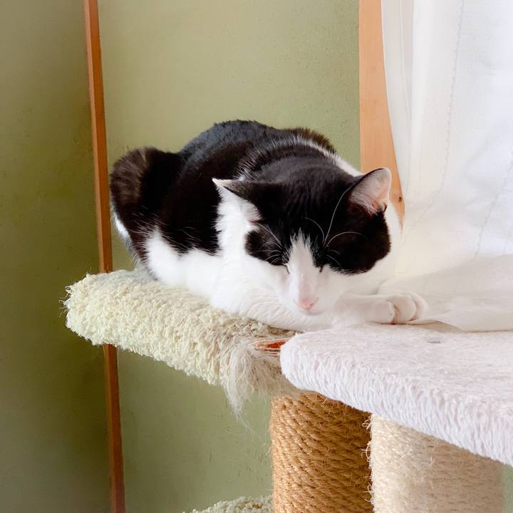 7b4af8df 6861 4029 a42d cc73f77af9a1 1561511005860