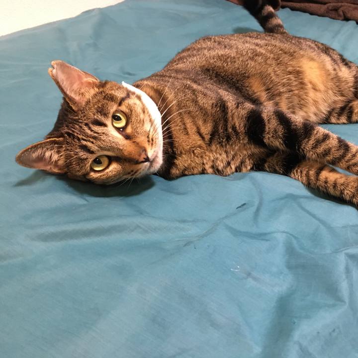 7b4b4651 2b4e 4052 a9f4 4f02633350d6 1533779571967