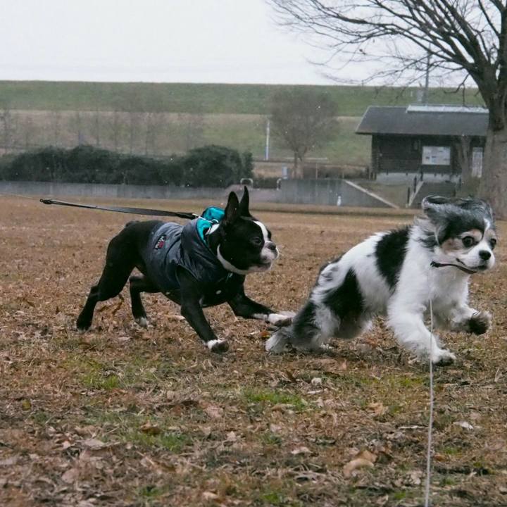 7b4b4aca d9f8 4c99 8bbc 56f300284aa8 1514693009331