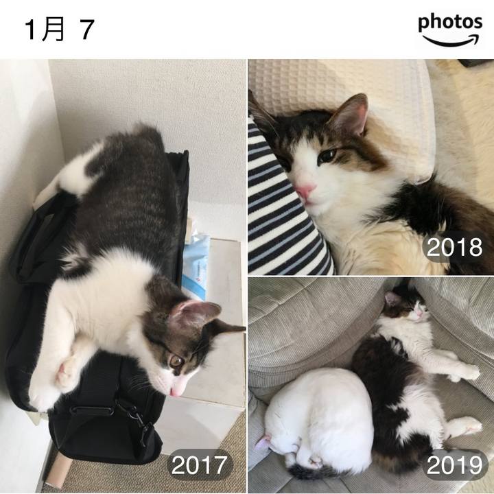 7b4b6f3d 14ec 44b7 ba67 e76b8ba9a5a3 1736212932725