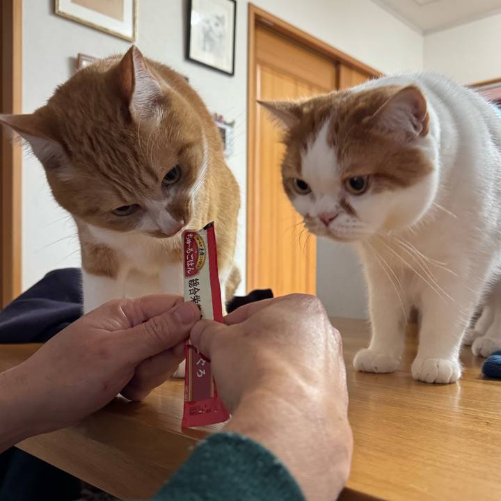 7b4b7053 4596 40b1 a834 d3738f311774 1768963493187