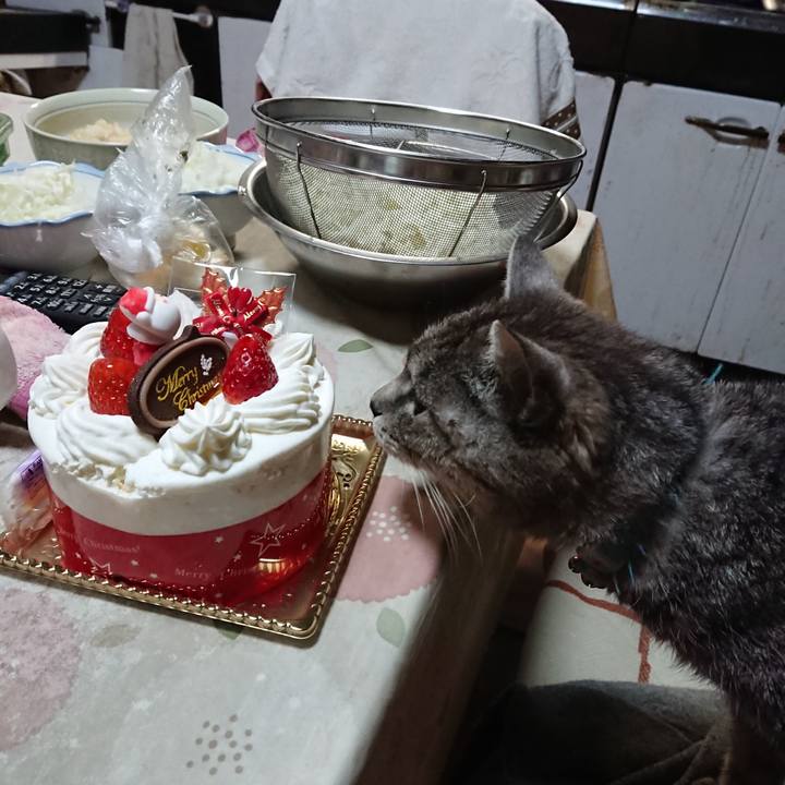 7b4b8ab3 9bd9 47a1 82ba 2d4bb240bd4c 1577271692541