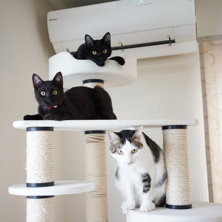 7b4ba0d0 b5eb 44ef b747 ee0b5ff7dd99 1511068133610