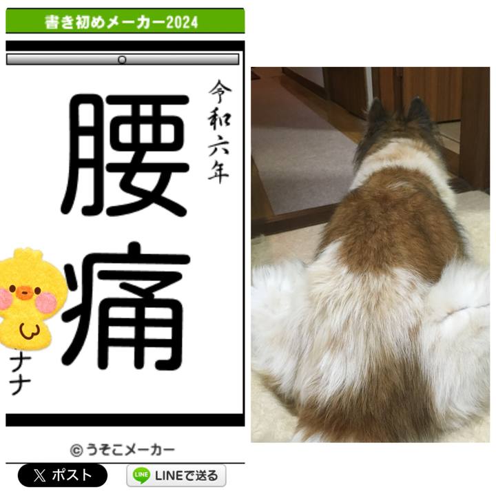 7b4bba22 32bf 43b1 a550 1db2c69bcf66 1704348485910