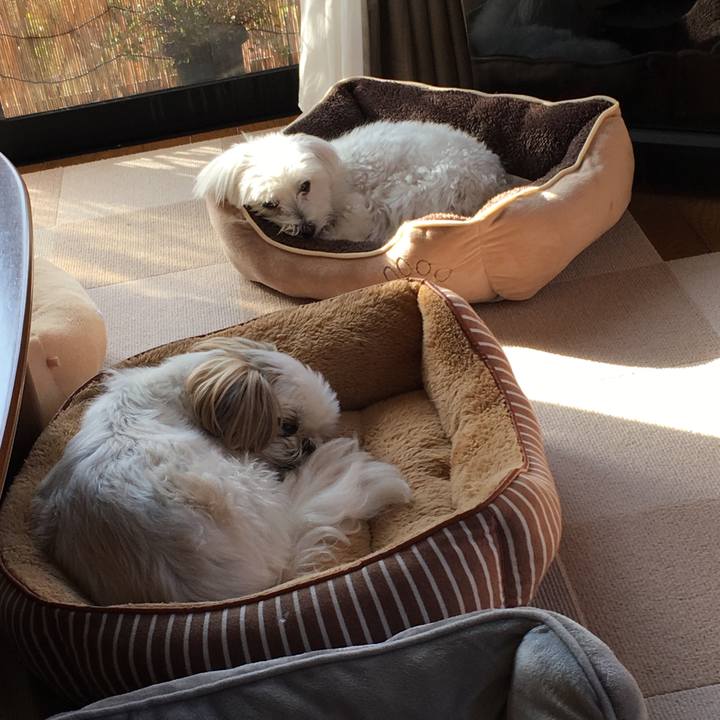 7b4bba22 d31a 41fb 9fc5 c3d3d9a80ab0 1573603302877