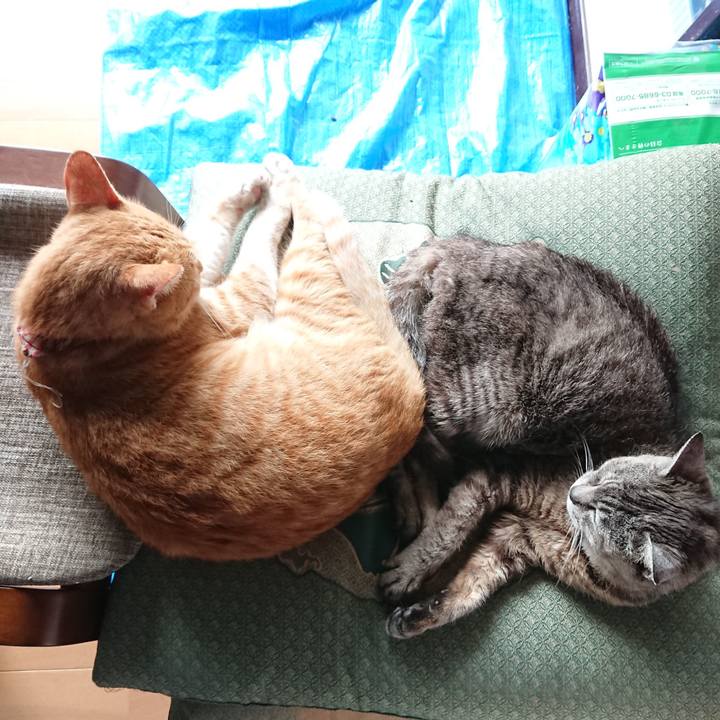 7b4c0f50 30d4 4faa bad1 30d99428f70e 1565937479143