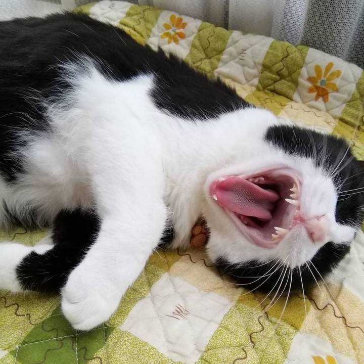 7b4c157f e253 4421 971a 799be830b65a 1558188499750