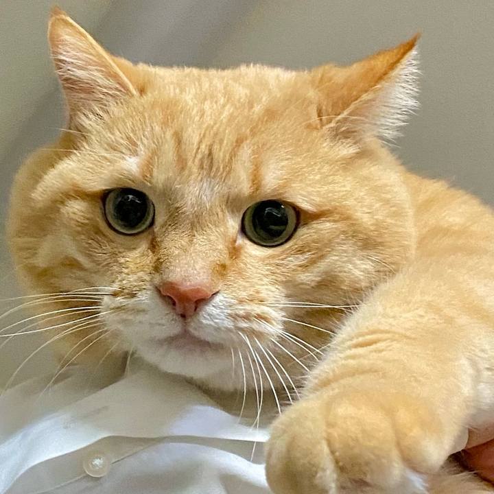 7b4c1e61 e143 480b 965e 275a72fdf2cb 1722682386804