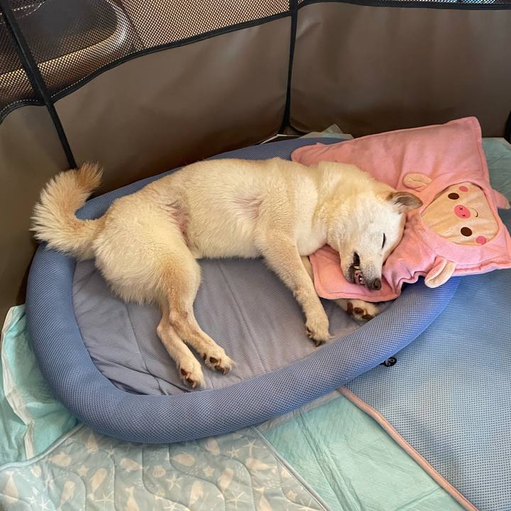 7b4c480d 2655 46b4 ae9c 7c0c83984f66 1659013144616