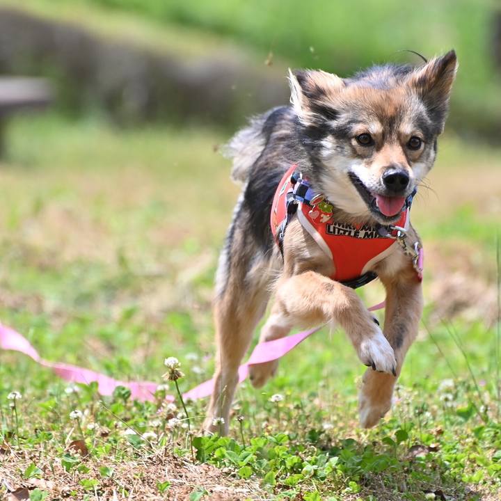 7b4c582e 46eb 45d4 8702 301cbe1fd747 1557307292934