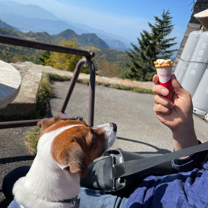 7b4c8198 a7f7 409a bc61 525b2362adad 1633341738726