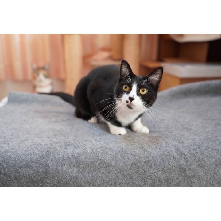 7b4c9182 16aa 4a76 b4a7 d817bd9c7560 1669074932579