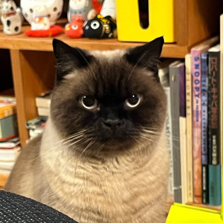 7b4cd3d4 fddb 4ec4 8e68 314ee1c8e372 1704971890366