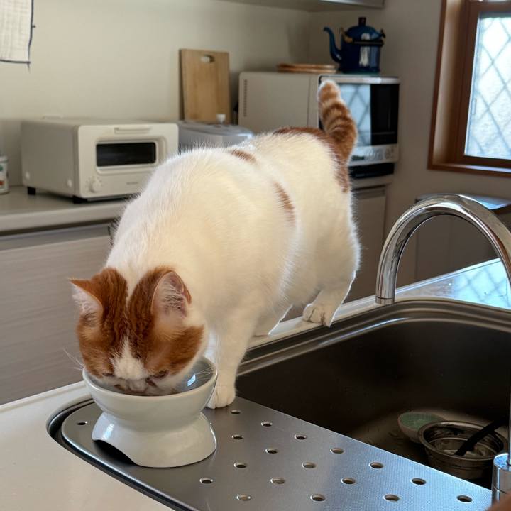 7b4ce8dd 2ba1 494e 8be3 298138d88b9d 1768879461985