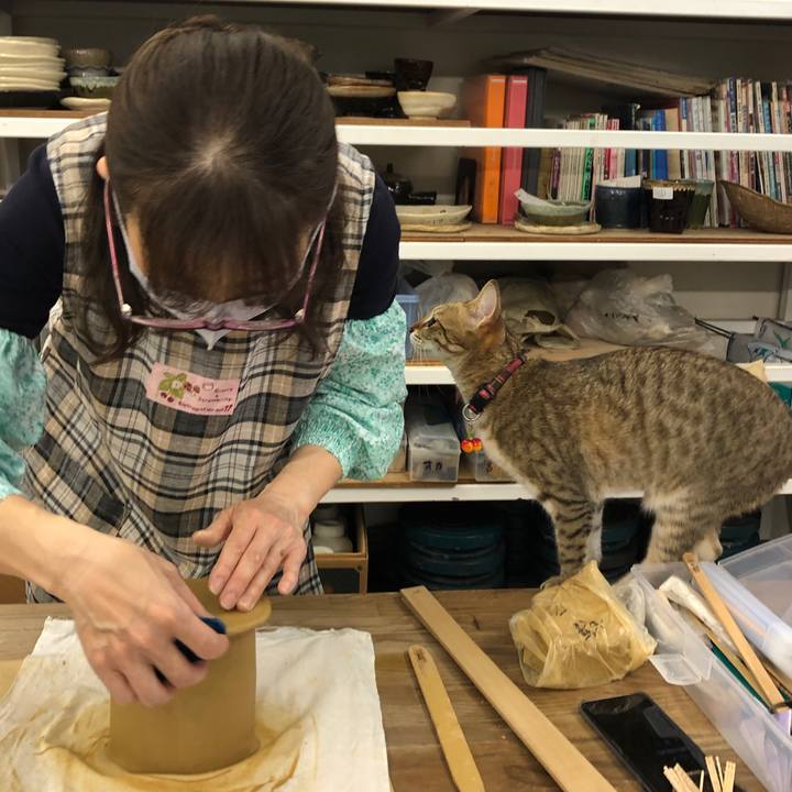 7b4cfac6 fbc6 4ddd 89ed 93b31d4f269f 1622058023762