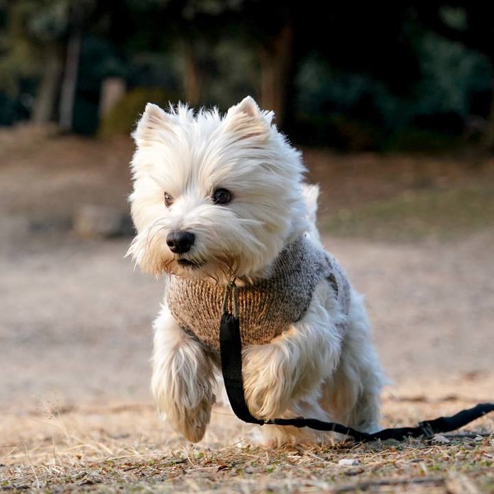 7b4d091e ebb4 48a5 beed 4a9ec075f5bf 1516057381519