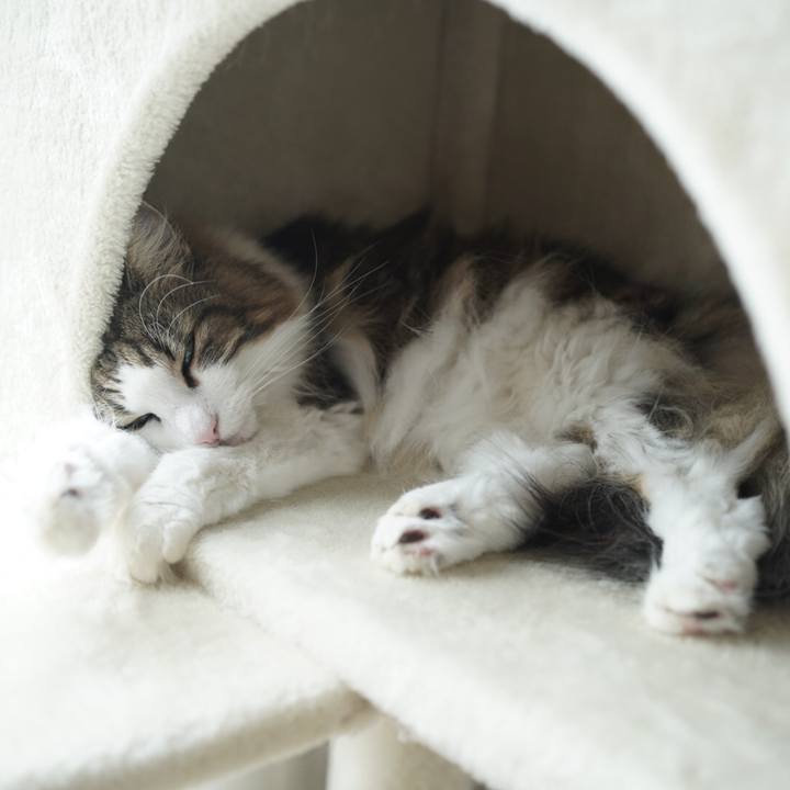 7b4d0acf 35af 458b a029 691b45f2c639 1600153753969