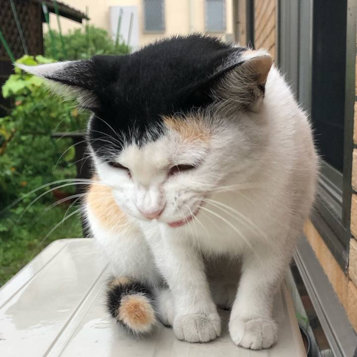 7b4d45a4 7023 460f 93dd 2d5cc5c63c0a 1628812074176