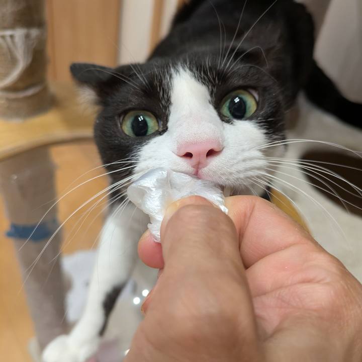 7b4d4802 9baa 4367 9ddf 93f7c982ee2b 1758192379478