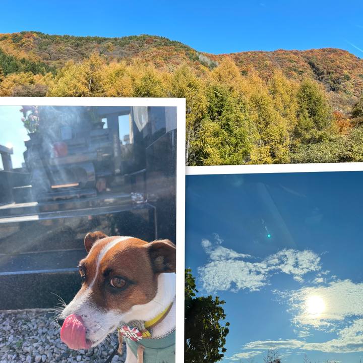 7b4d4f72 5a73 477a 9def f5809cf826bd 1636091874478