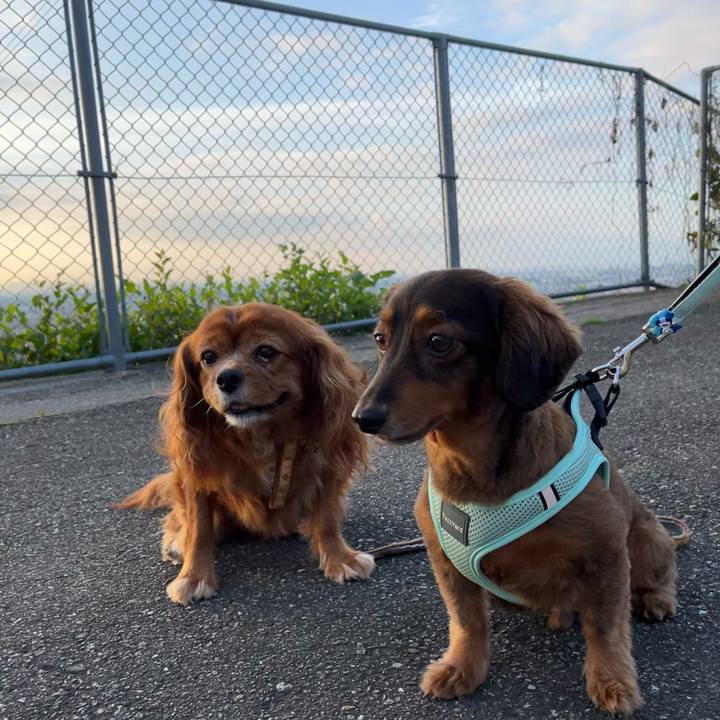 7b4d54d9 b86c 45f5 a80c 07ed9c6967f6 1662850717233