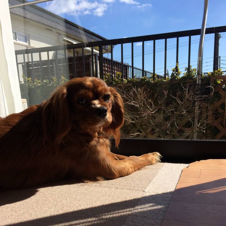 7b4d7dff dc5b 4b00 80c8 5eef3a0edf2f 1517716154025