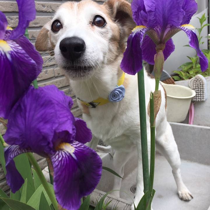 7b4d8d68 54c8 4aee b4b5 2044538dadda 1558307402504