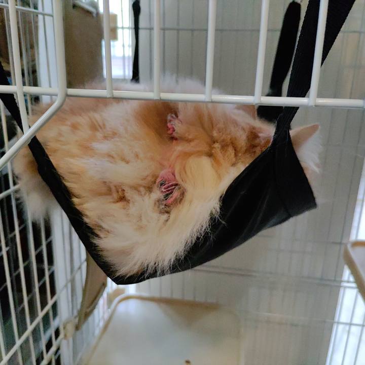 7b4d9159 248b 4ed7 a5f6 4157c9fff1eb 1713826758851