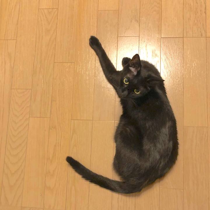 7b4da82b 93b3 4f79 b742 3f94b1bdffab 1561288298596