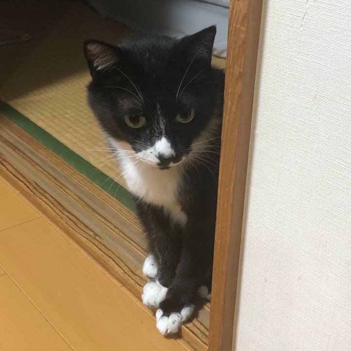 7b4dc030 5075 4a30 a71f fc559260012f 1660544990576