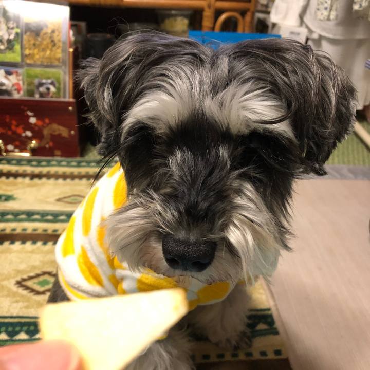 7b4e0a84 401b 4d3c 9bd8 25b66bbcaf4e 1645620603107