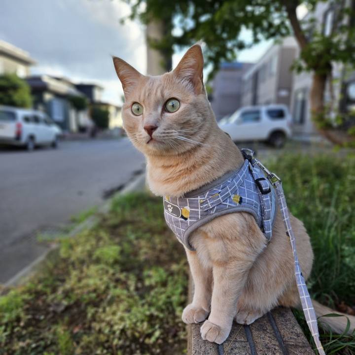 7b4e24e3 9927 47f7 aad1 3017b53c427f 1693648875985