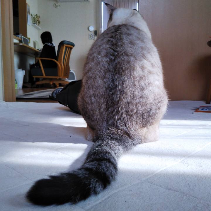 7b4e4a90 e339 4e13 bf13 589d39da2c3c 1543721161143