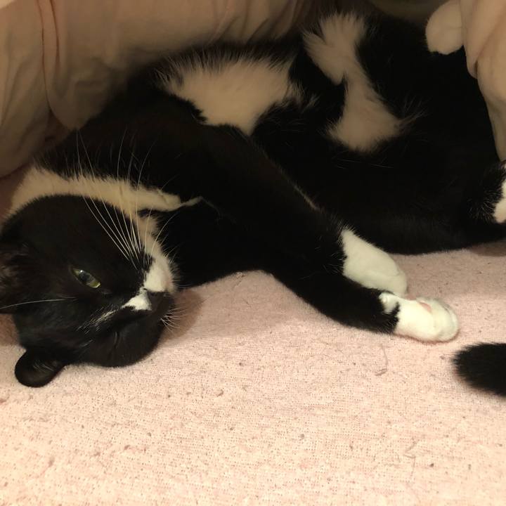 7b4e8e05 49ac 4ffb 8ac1 bbe2eada0626 1567468638117