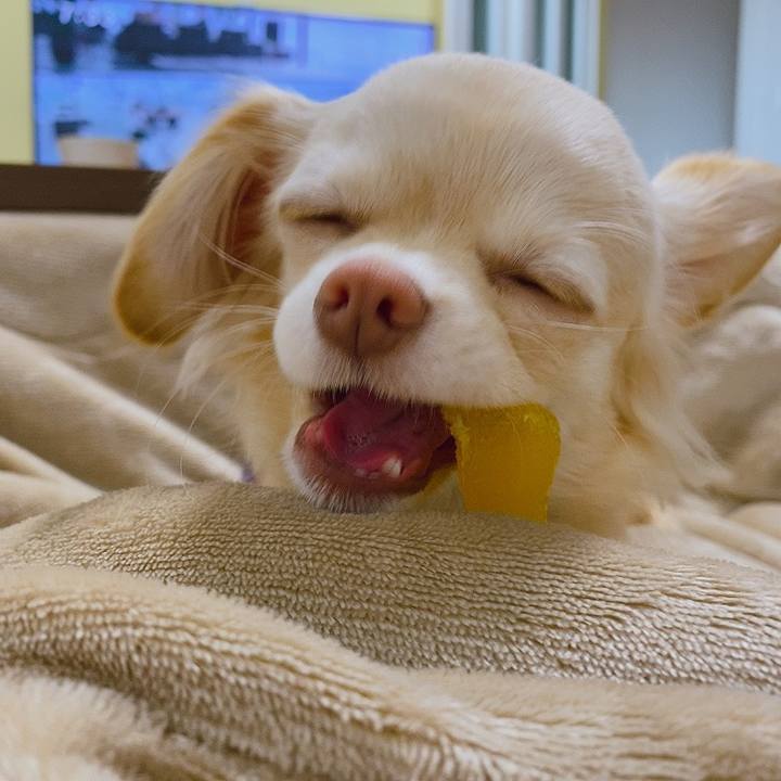 7b4e93f2 b771 49f0 8657 dbd2ccdd5899 1610539648399