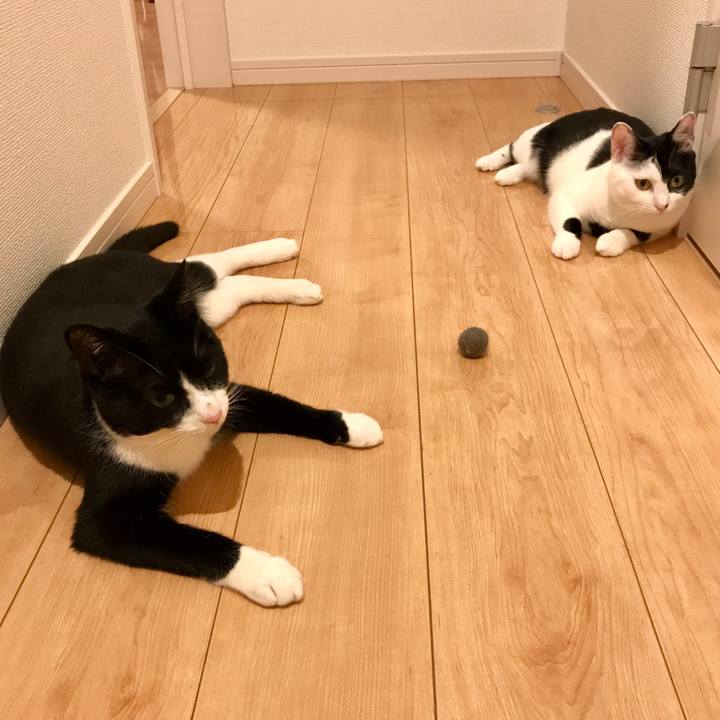 7b4ed936 d009 4b21 a65c f1b42ce4bccd 1526644494053