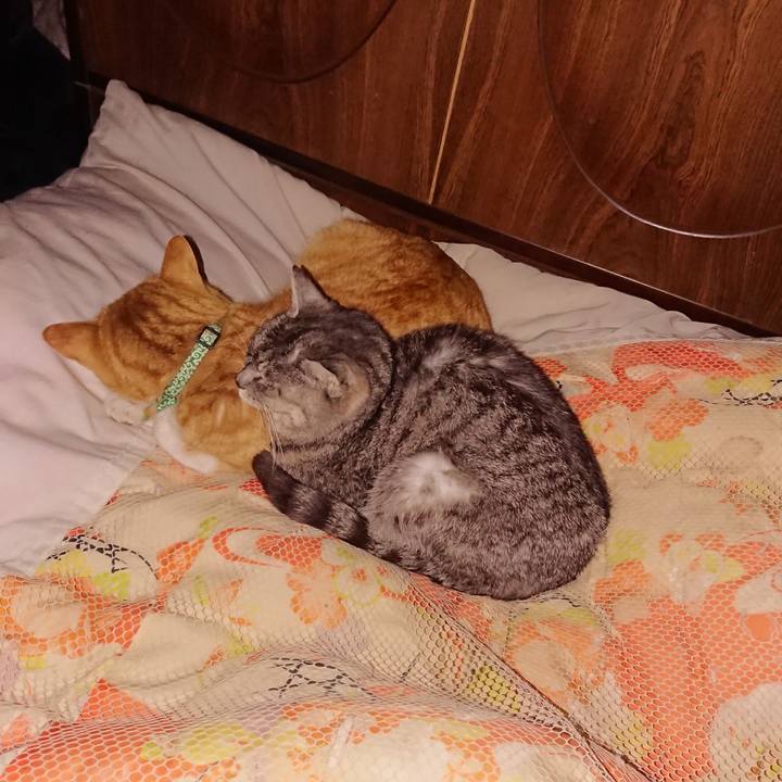 7b4eef43 3e87 470a 9a4a 2e8fa1398ebc 1581519443874